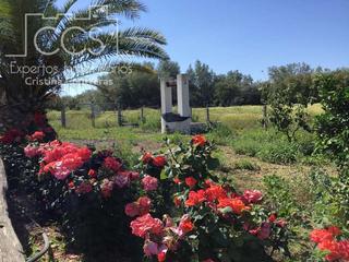 Bauernhof in Almonte. Venta de finca  en propiedad de 19.561 m2, olivar, naranjos y pa