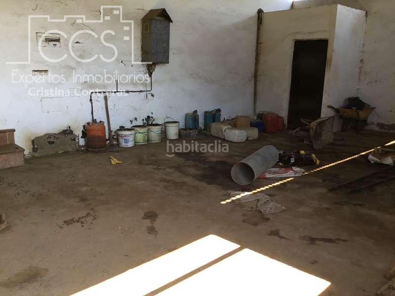 Foto 08b74f9e-a7d2-475d-9419-58a7b6913362. Casale in Almonte Almonte