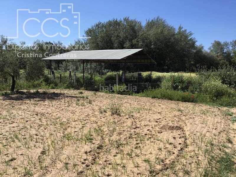 Foto 0d96b40b-9ae1-4998-94d3-baeef3e5018d. Masia a Almonte Almonte