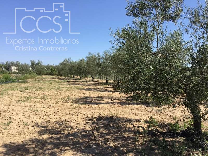 Foto 1560705d-4e8a-45bf-8dc0-bd1a2685668d. Masia a Almonte Almonte