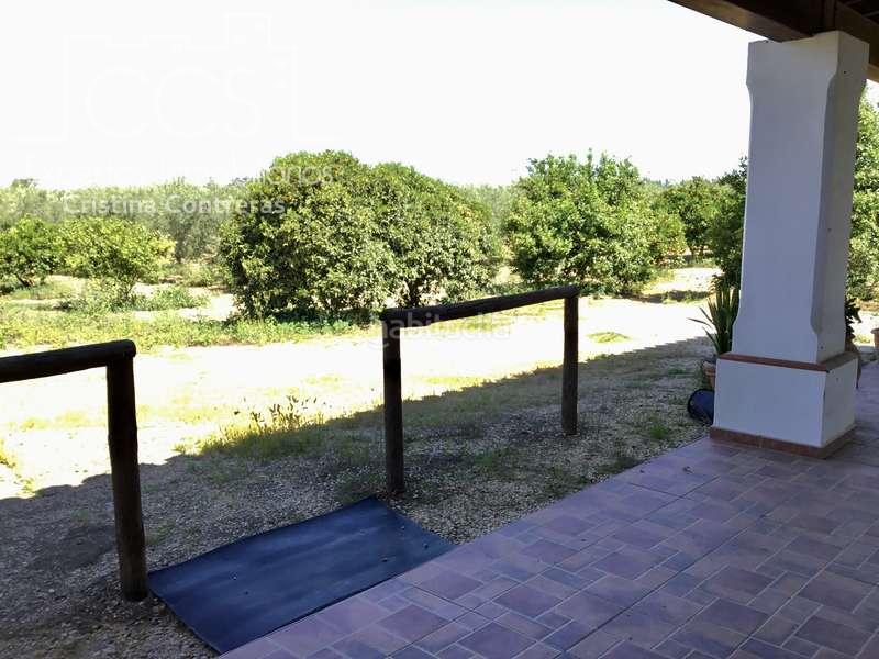 Foto 1565b22e-e325-4b91-a94f-0b4abf166347. Casale in Almonte Almonte