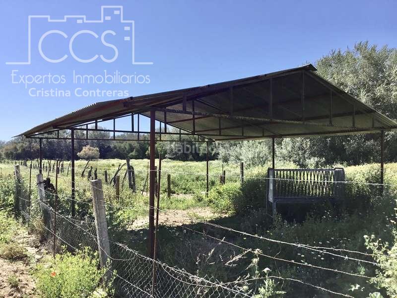 Foto 16fa8903-3e70-41bc-b8f5-866dc9b471e5. Casale in Almonte Almonte