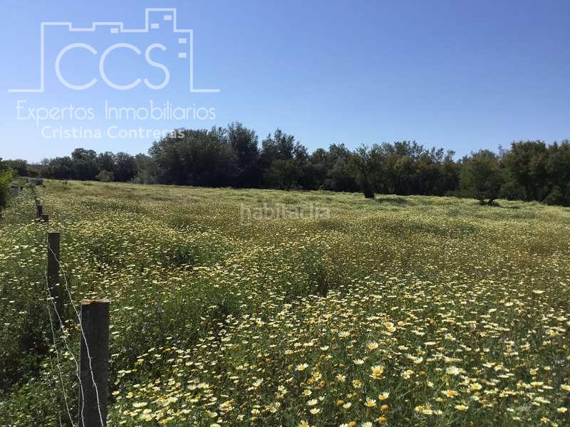 Foto 198b5832-5d3f-4d45-801c-37291b0083bf. Masia a Almonte Almonte