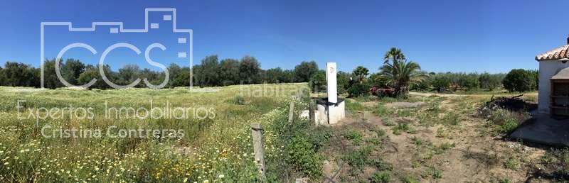 Foto 1b6c6200-8e9f-470f-b987-a612ec61874e. Masia a Almonte Almonte