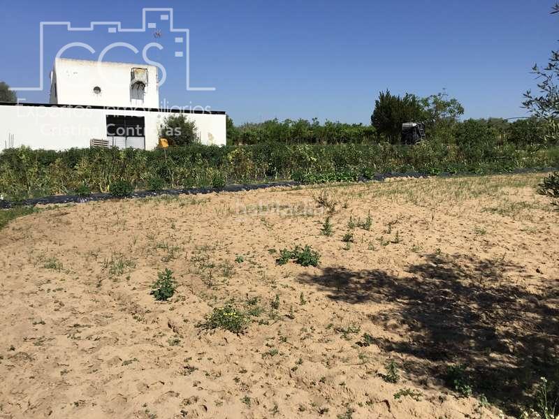 Foto 252466e0-1a13-4c03-ac36-6db6c7f45e6d. Casale in Almonte Almonte