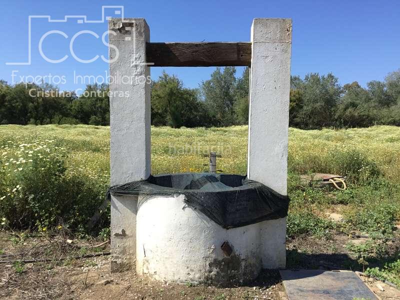 Foto 2568d9b9-ea47-4a7c-bc44-18db41e7b241. Casale in Almonte Almonte