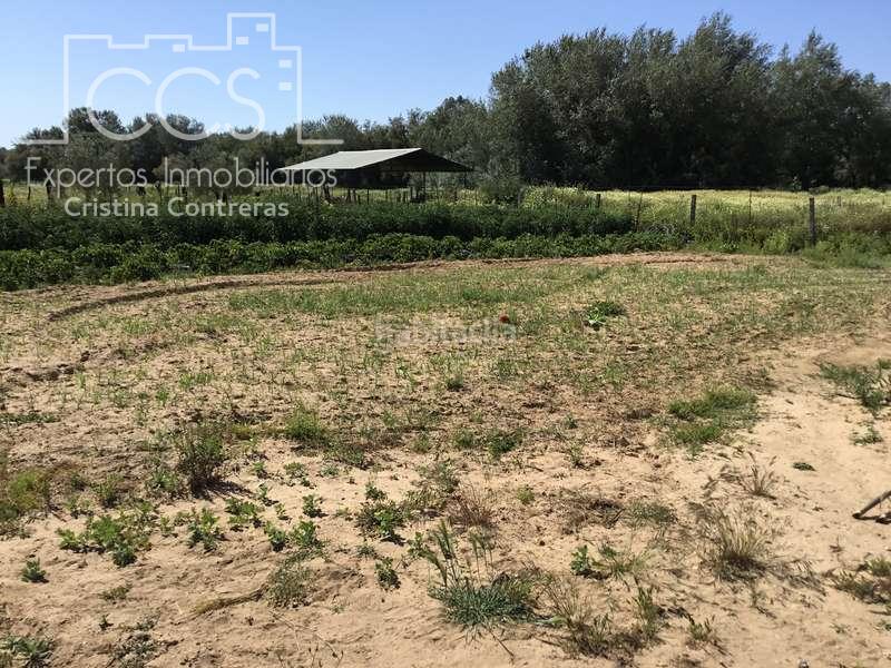 Foto 433ed3e2-272e-4f8c-a81d-35ca921f3372. Masia a Almonte Almonte