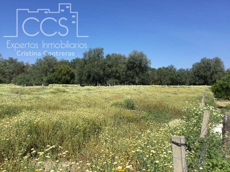 Foto 44a9b770-3755-4ad2-860a-4b60437a8909. Masia a Almonte Almonte