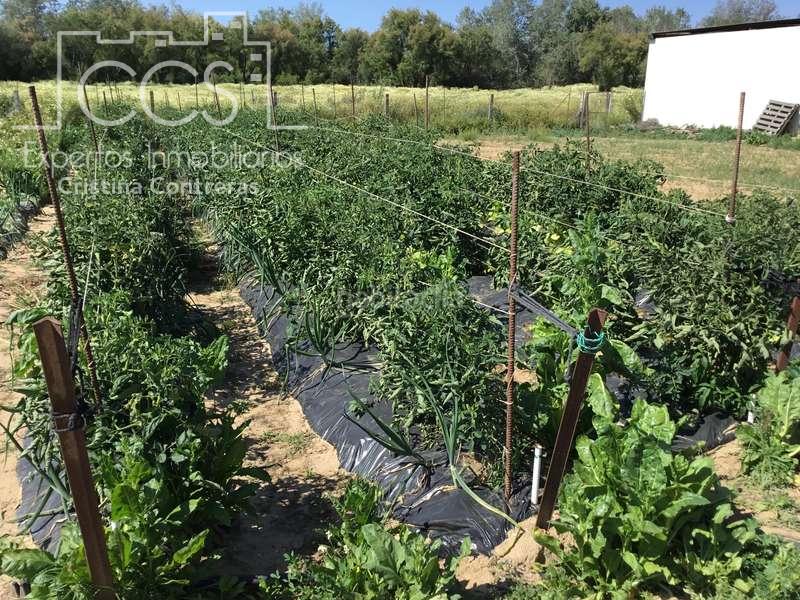 Foto 4903b064-d62a-491f-8623-813cee88713a. Masia a Almonte Almonte