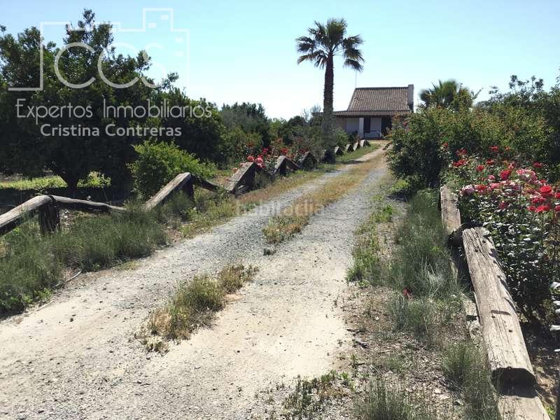 Foto 4e98027a-6205-4e9d-b056-2701c04d694d. Casale in Almonte Almonte