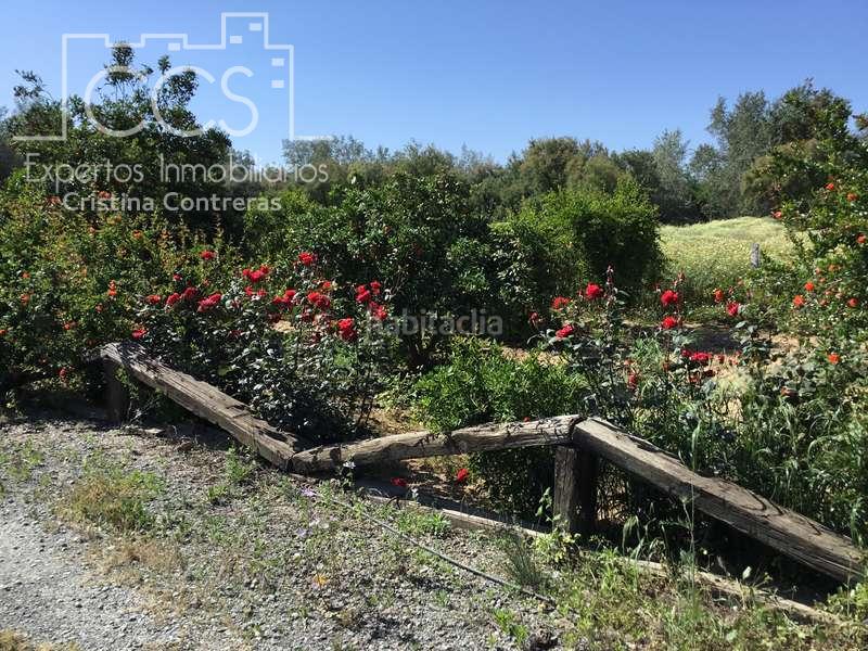 Foto 555debbd-de9a-4f2a-a0ca-2f8fa131b59f. Masia a Almonte Almonte