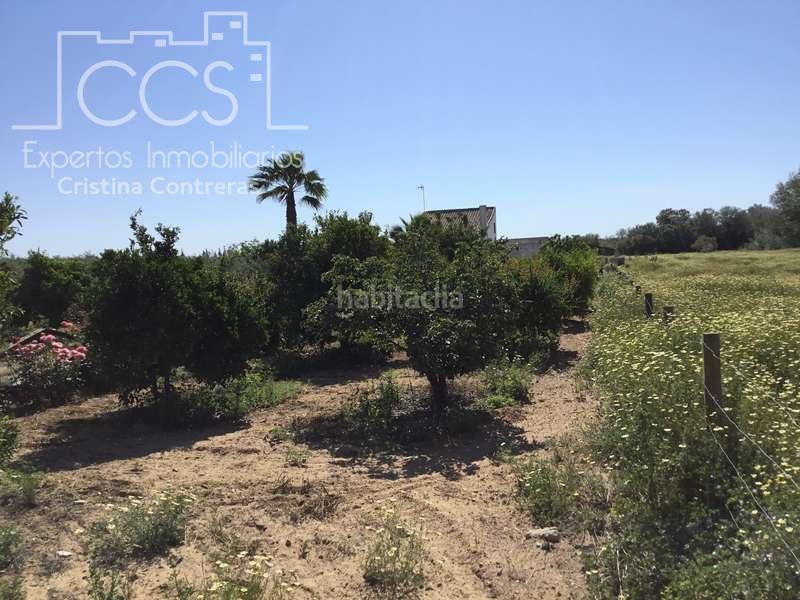 Foto 74bca94e-9231-4339-804a-4c0555a95a50. Masia a Almonte Almonte