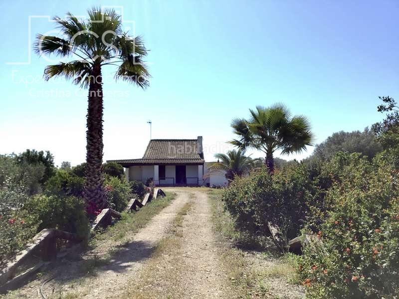 Foto 913baf73-bb2f-46f7-ab53-b7f3dc7591be. Masia a Almonte Almonte