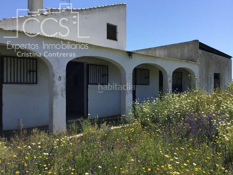 Foto aae0ed65-737e-4a6e-8def-ab514b432064. Casale in Almonte Almonte