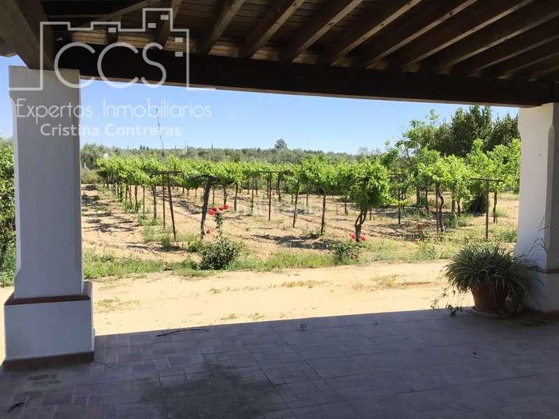 Foto afd5926a-f801-4c93-826d-f723b3277dfa. Masia a Almonte Almonte