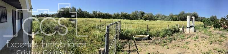 Foto b022fe65-dcdd-42e2-a561-b9bd863ed82a. Casale in Almonte Almonte