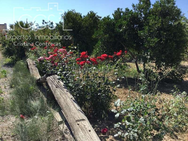 Foto b7f4245e-4e16-4752-89a5-8a40b0e172ac. Casale in Almonte Almonte