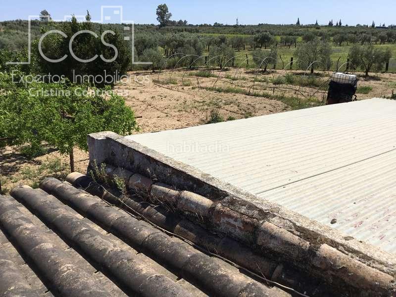 Foto dfee8286-c27c-4989-84b0-fd9dddbe128e. Casale in Almonte Almonte