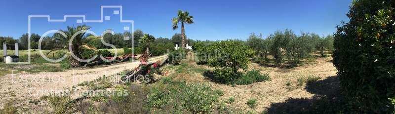 Foto fd6d04bd-da28-47e1-b4bc-2d92ed8c4711. Masia a Almonte Almonte