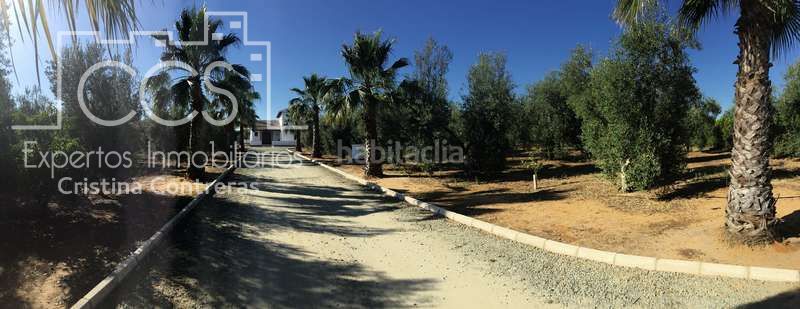 Foto 52be344f-d632-4a39-9aa2-39290f7eae0b. Masia amb piscina a Pilas