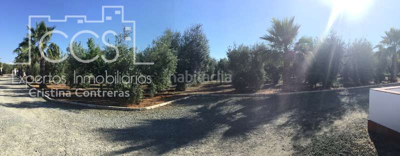 Foto 8de42f4a-4add-4cef-806a-68fb9e4a9c74. Masia amb piscina a Pilas