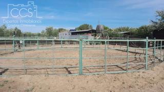 Masia en Almonte. Venta de finca en propiedad  con 19.535m2 de terreno y 2 coberti