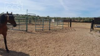 Masia a Almonte. Venta de finca en propiedad  con 19.535m2 de terreno y 2 coberti