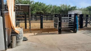 Mas à Almonte. Venta de finca en propiedad  con 19.535m2 de terreno y 2 coberti