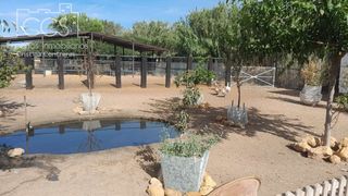 Masia a Almonte. Venta de finca en propiedad  con 19.535m2 de terreno y 2 coberti