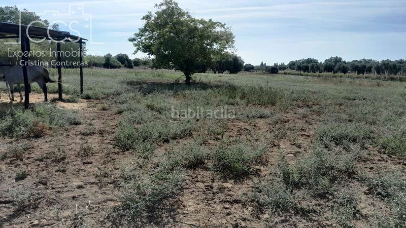 Foto 0c0563c4-2e6a-46e9-b4f2-b39e06c78f20. Masia a Almonte Almonte