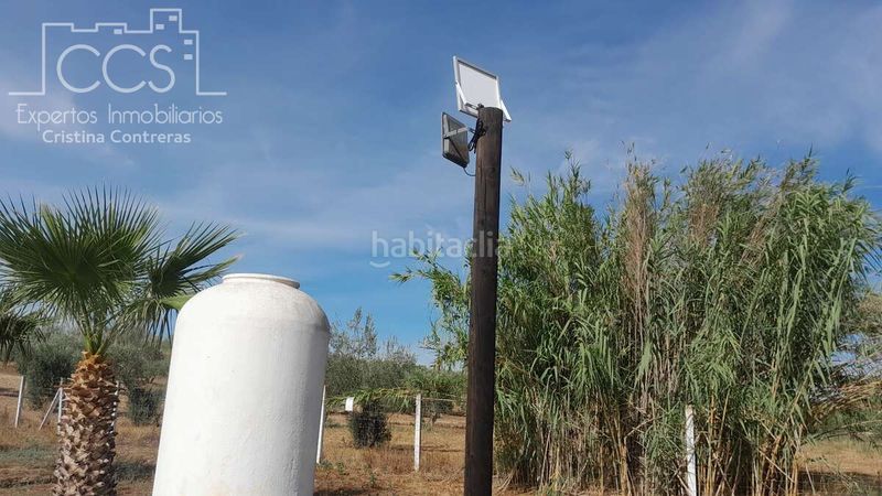 Foto 0fb7e06d-5d2f-4d1d-bb77-70a7b3f1fbd4. Masia a Almonte Almonte
