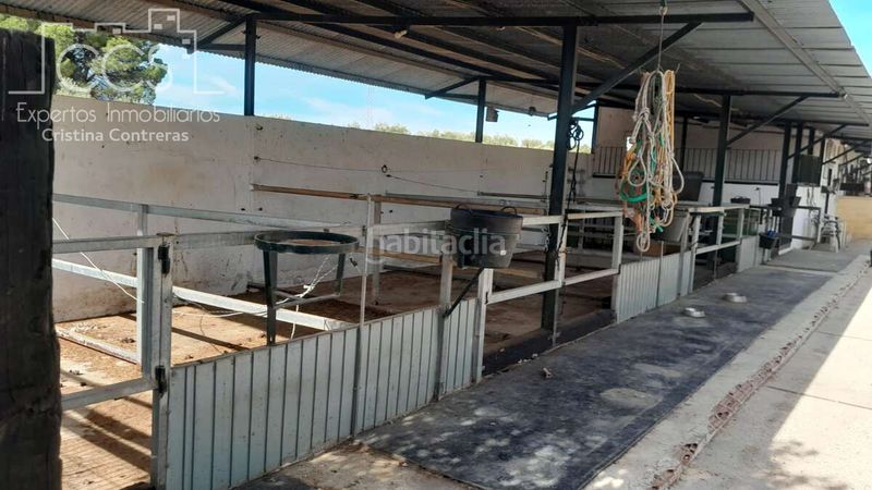 Foto 337050bb-128f-4d1b-b363-e2a91cfa11c8. Masia a Almonte Almonte