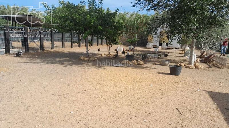 Foto 3c09b931-ab1e-46b2-b534-5dace665017a. Masia a Almonte Almonte