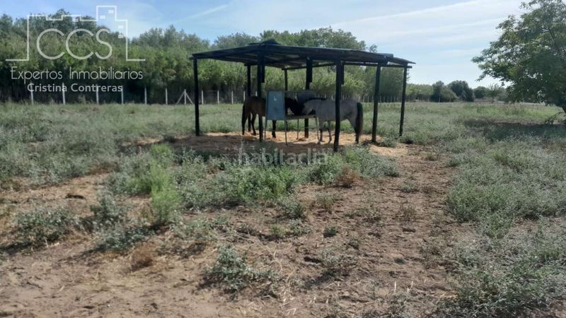 Foto 47775a9d-be83-4bf1-9263-86e24c32f2f4. Masia a Almonte Almonte