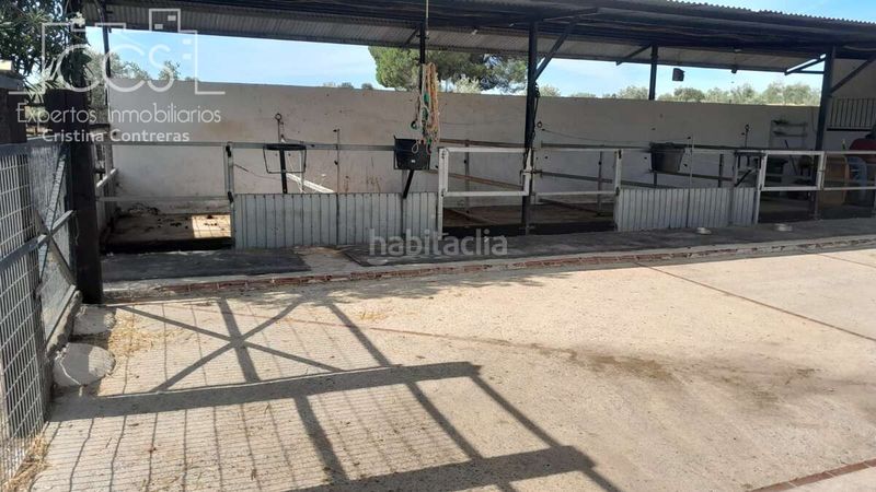 Foto 4a80647d-110d-41a3-9360-2502ba80a578. Masia a Almonte Almonte