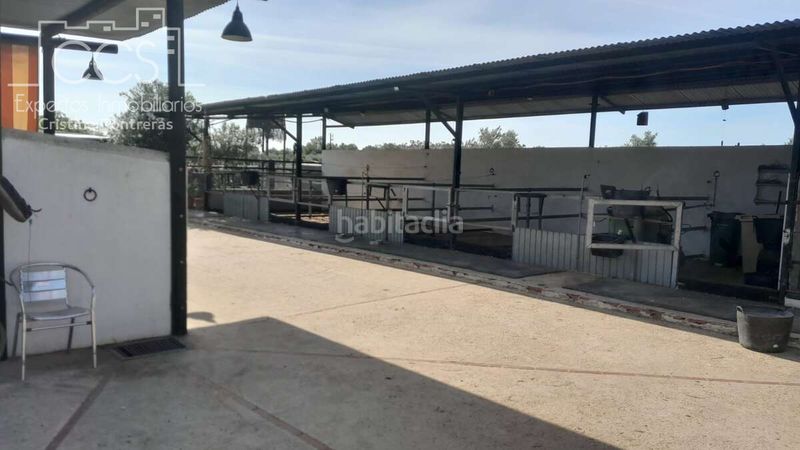 Foto 75502b70-a043-4912-9956-a372e3720ad6. Masia a Almonte Almonte
