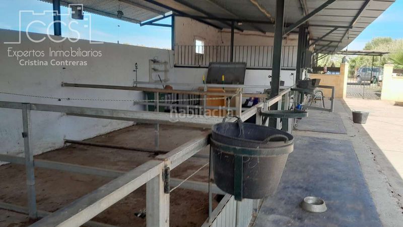 Foto 7fa132e9-ed66-4d7b-a809-2b13237126d0. Masia a Almonte Almonte