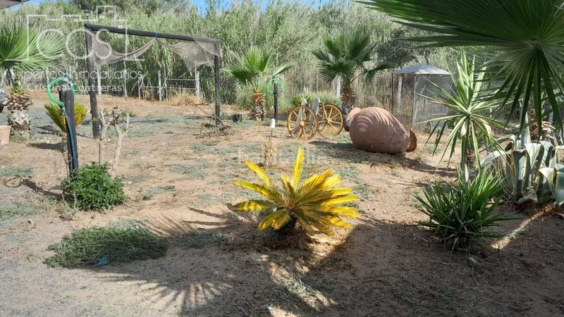 Foto 965c7150-7802-4782-a6b9-2b7639040b1b. Masia a Almonte Almonte