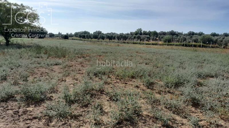 Foto ca4934da-50d3-4ffe-b3a1-e3db093d7609. Masia a Almonte Almonte