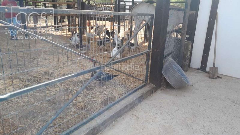 Foto d5fc9909-515b-415f-959d-bdf4548f3318. Masia a Almonte Almonte