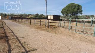 Mas à Almonte. Venta de finca en propiedad  con 19.535m2 de terreno y  nave de