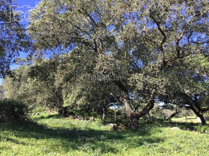 Foto 1ea14518-f5c2-44d3-9248-af3db51906e1. Casale con piscina in Pedroso (El)