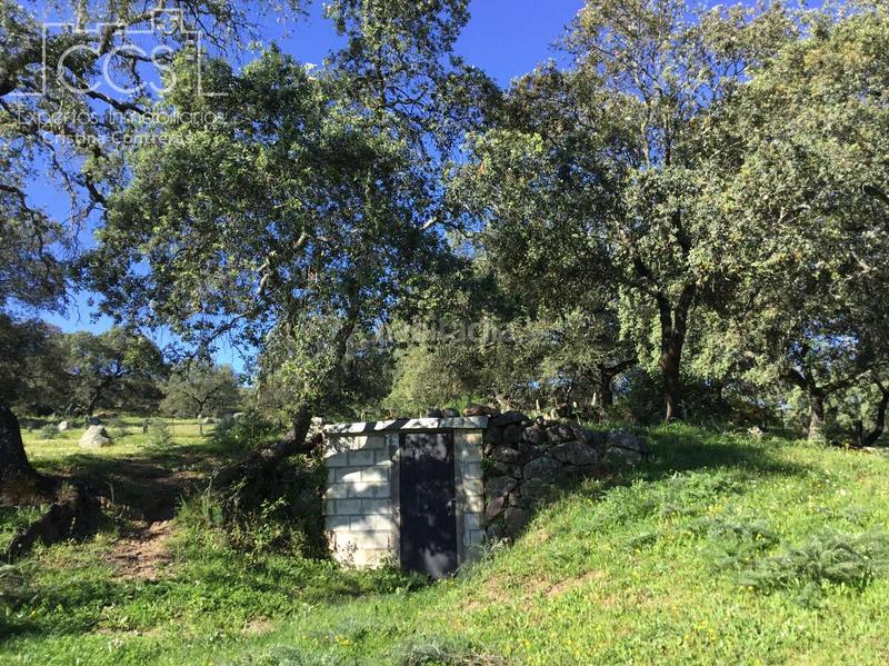 Foto 2852b103-b6d5-4866-85c0-074f8081adfa. Casale con piscina in Pedroso (El)