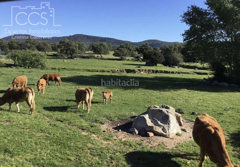 Foto 32352c64-4abf-45a8-95ad-f34860712b5f. Casale con piscina in Pedroso (El)