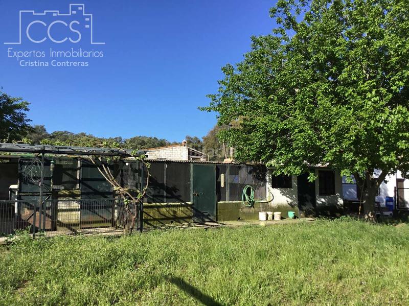 Foto 5ad833dd-7398-4b7b-8a8c-2d1ebe3d21e0. Casale con piscina in Pedroso (El)