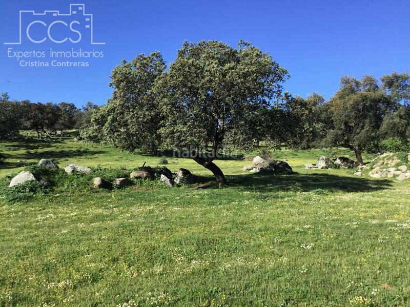 Foto 8eb8ade9-ccc0-4d5b-863c-e7425cb2c0d0. Casale con piscina in Pedroso (El)