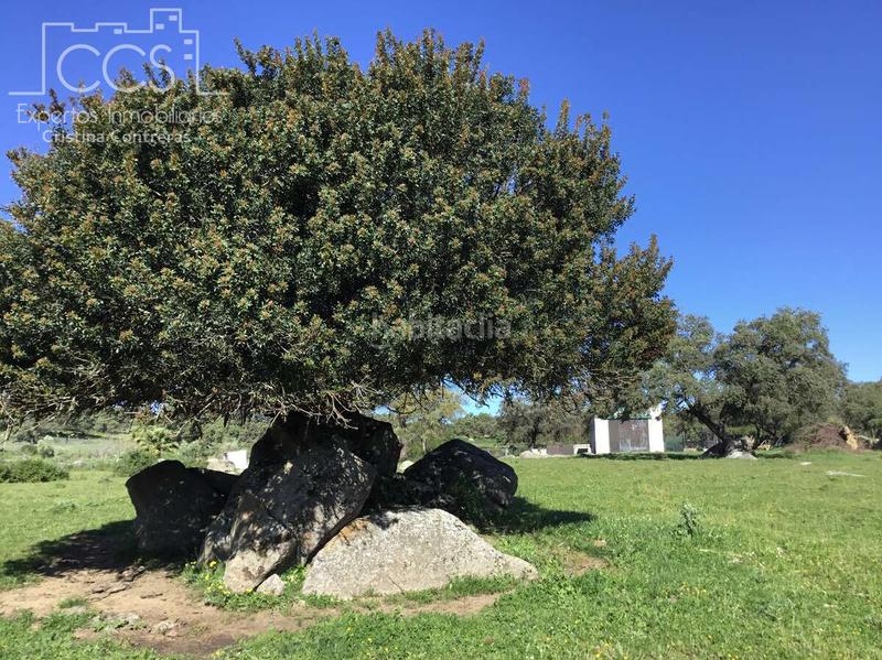 Foto 956eca71-d5c8-4c7e-a27f-14cd86d341c8. Casale con piscina in Pedroso (El)