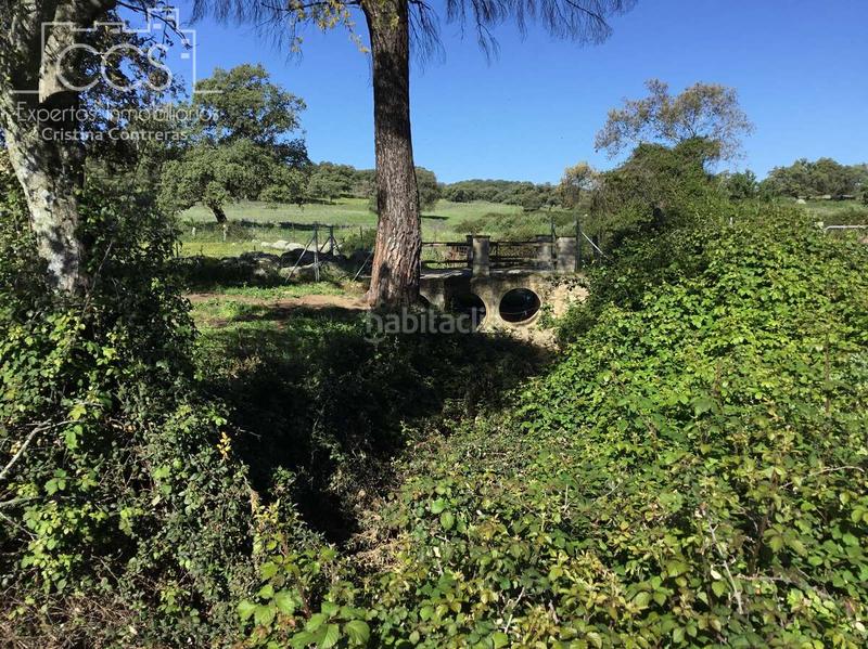 Foto a122b3d0-8591-4a14-bd37-af5e8f0fbdb3. Casale con piscina in Pedroso (El)