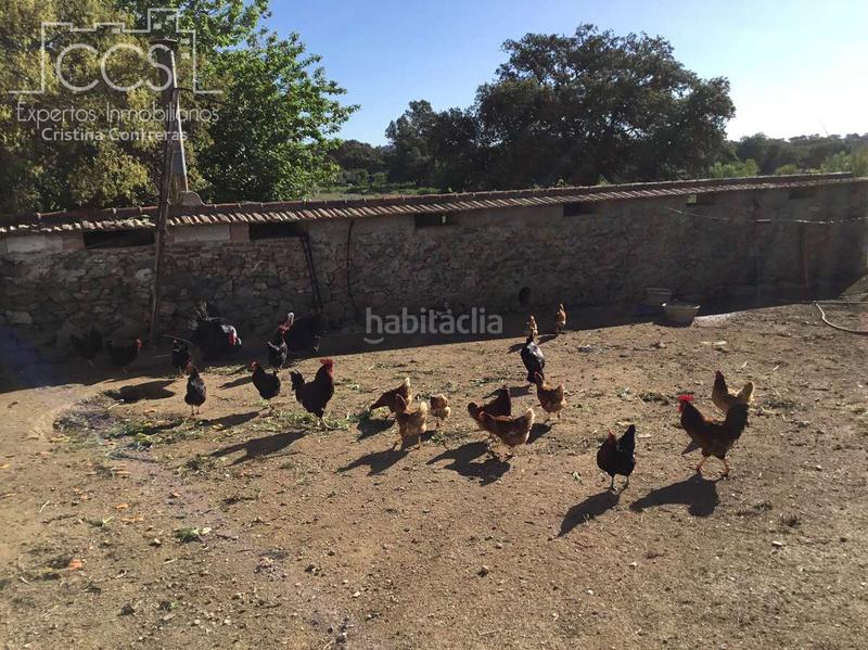 Foto be5e0770-a8f5-4d16-8108-c8c670090350. Casale con piscina in Pedroso (El)