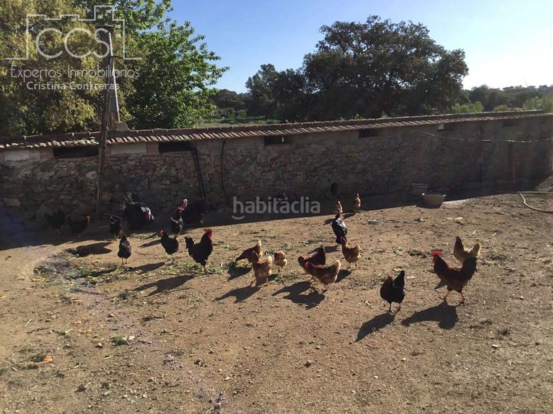 Foto d910817e-a9d9-47b6-9fcb-d252b7c20b02. Masia amb piscina a Pedroso (El)